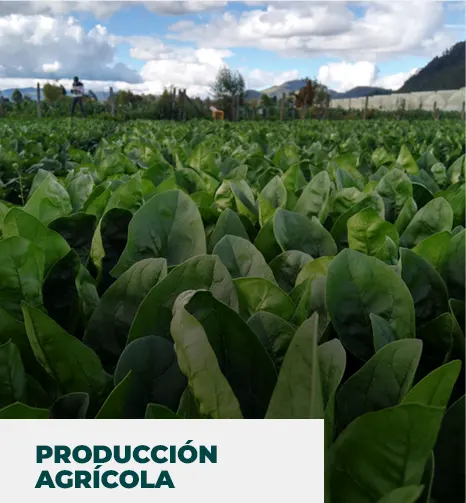 min_produccion_agricola