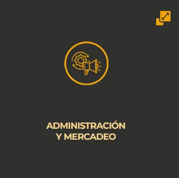 linea_administración_mercadeo