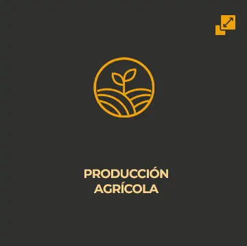 linea_produccion_agricola