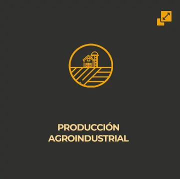 linea_produccion_agroindustrial